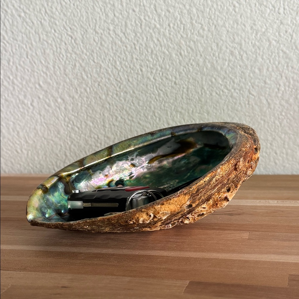 Abalone Shell Dish Catchall - Picture 2 of 4